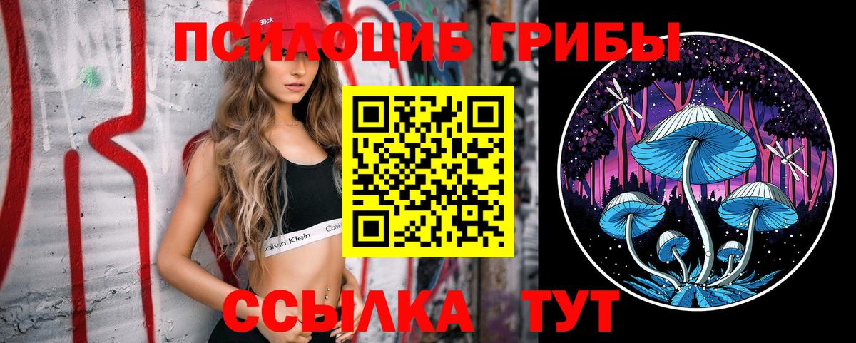цены   Псилоцибиновые грибы GOLDEN TEACHER  Вход с VPN  Кирово-Чепецк 