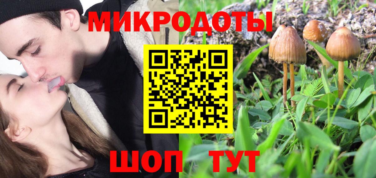 Галлюциногенные грибы Psilocybine cubensis Кирово-Чепецк